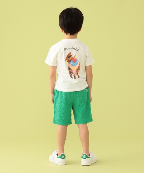 BEAMS mini（ビームスミニ）の「BEAMS mini / アニマル ヒップ Tシャツ (90～150cm)（Tシャツ/カットソー・キッズ・ブルー系その他3/オフホワイト/オレンジ系その他3・90/100/110/120/130/140/150）」の6枚目の写真
