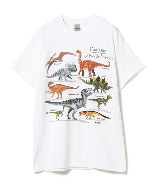 BEAMS BOY(ビームスボーイ)の「Atlas Screen Printing / Dinosaurs Tee(Tシャツ/カットソー・レディース・ホワイト・MEDIUM)」の2枚目の写真