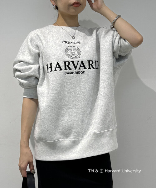 LOUNGEDRESS（ラウンジドレス）の「【GOOD ROCK SPEED】HARVARD 裏起毛プルオーバー（スウェット・レディース・グレー・FREE）」の5枚目の写真
