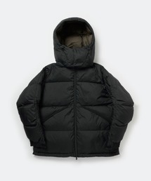 DAIWA PIER39(ダイワピア39)のDAIWA PIER39 TECH ALPINE DOWN PARKA BW-21025W(ダウンジャケット/コート)
