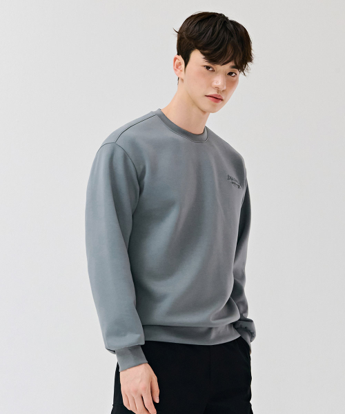 CHASECULT(チェイスカルト)の「男性背面グラフィックスウェットシャツ-グレー(スウェット・メンズ・チャコールグレー・100/95/105)」の4枚目の写真
