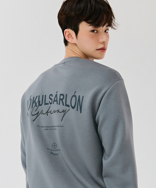 CHASECULT(チェイスカルト)の「男性背面グラフィックスウェットシャツ-グレー(スウェット・メンズ・チャコールグレー・100/95/105)」の5枚目の写真