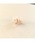 tone�i�g�[���j�́u�ySunnyBOX�z�r�[�Y�̏��ԃ��`�[�t�s�A�X(MA)�i�s�A�X�i�����p�j�j�v�b�s���N