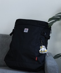 VISION STREET WEAR Box backpack バックパック