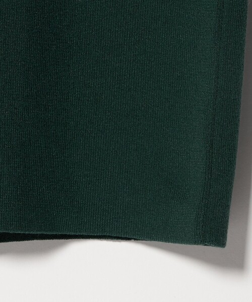 H BEAUTY&YOUTH UNITED ARROWS(エイチビューティーアンドユースユナイテッドアローズ)の「<H>リブ ポロカラー ニットワンピース(ワンピース・レディース・ダークグリーン・FREE)」の10枚目の写真