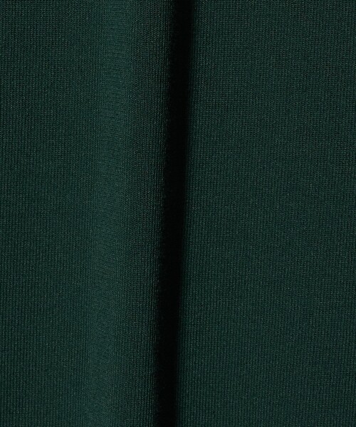 H BEAUTY&YOUTH UNITED ARROWS(エイチビューティーアンドユースユナイテッドアローズ)の「<H>リブ ポロカラー ニットワンピース(ワンピース・レディース・ダークグリーン・FREE)」の12枚目の写真