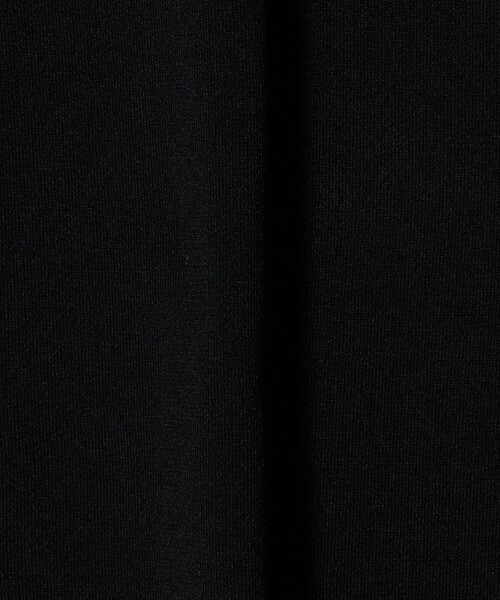 H BEAUTY&YOUTH UNITED ARROWS(エイチビューティーアンドユースユナイテッドアローズ)の「<H>リブ ポロカラー ニットワンピース(ワンピース・レディース・ダークグリーン・FREE)」の15枚目の写真