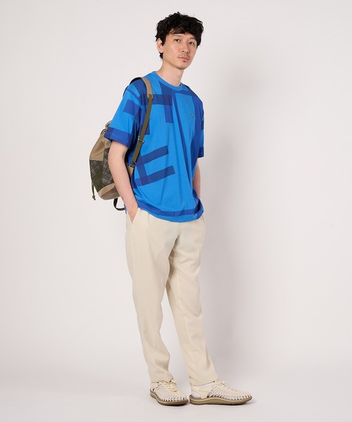 Arnold Palmer(アーノルドパーマー)の「シェア ランダムチェック Tシャツ(Tシャツ/カットソー・レディース・チャコールグレー/ホワイト/ブルー・L/M/S/XS/LL)」の15枚目の写真