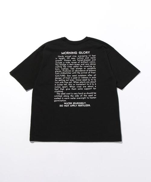 niche.（ニッチ）の「＜Niche.＞  M/GLORY TEE/Tシャツ（Tシャツ/カットソー・メンズ・ブラック・LARGE/SMALL/MEDIUM）」の9枚目の写真