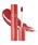 rom&ndiAhj́urom&nd W[V[XeBOeBgig/bveBg/OXjvb07 JUJUBE