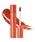 rom&ndiAhj́urom&nd W[V[XeBOeBgig/bveBg/OXjvb08 APPLE BROWN