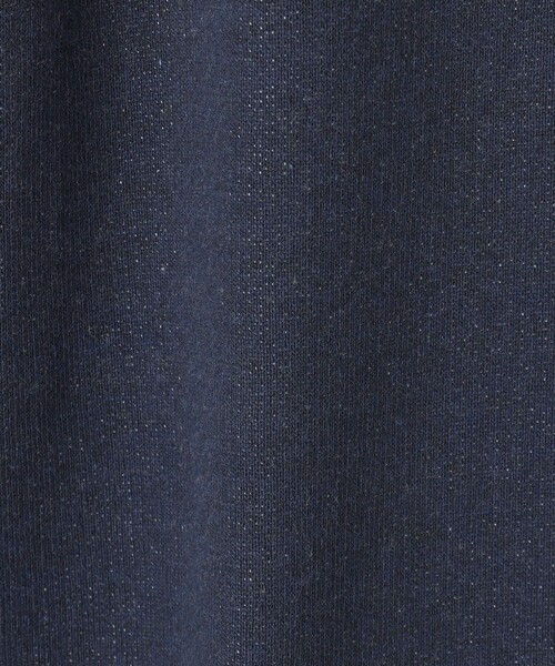 green label relaxing(グリーンレーベルリラクシング)の「【別注】<PARKS PROJECT>US PARK ネイビー スウェット(スウェット・メンズ・ネイビー・M/L)」の17枚目の写真