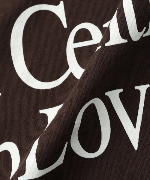 WISM(ウィズム)の「【BRICKS & WOOD/ブリックスアンドウッド】 From South Central w/Love Te FSCWL(Tシャツ/カットソー・メンズ・ブラウン・X-LARGE/LARGE/MEDIUM)」の3枚目の写真
