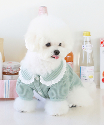 MY LITTLE DOG（マイ リトル ドッグ）の「ピクニックカラー ワッフルカーディガン - ミント（ペットウェア）」