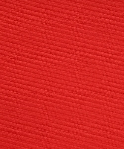 DANTON(ダントン)の「DANTON/ダントン キャンバス トートバッグ CANVAS TOTE BAG DT-H0052LCS(トートバッグ・レディース・ブラック/ネイビー/グレー/レッド/ナチュラル/ダークグレー/グリーン/グレー系その他・FREE)」の20枚目の写真