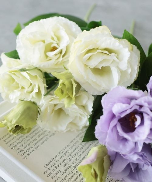 mysty woman(ミスティウーマン)の「リシアンサスブッシュ 194006(インテリア雑貨・レディース・ホワイト系その他/ホワイト系その他2/ホワイト系その他3/ホワイト系その他4・FREE)」の3枚目の写真