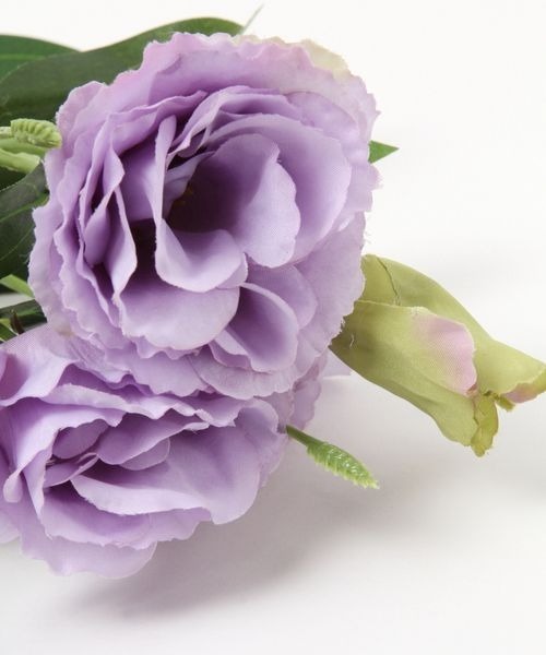 mysty woman(ミスティウーマン)の「リシアンサスブッシュ 194006(インテリア雑貨・レディース・ホワイト系その他/ホワイト系その他2/ホワイト系その他3/ホワイト系その他4・FREE)」の12枚目の写真