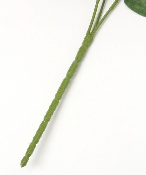 mysty woman(ミスティウーマン)の「リシアンサスブッシュ 194006(インテリア雑貨・レディース・ホワイト系その他/ホワイト系その他2/ホワイト系その他3/ホワイト系その他4・FREE)」の6枚目の写真