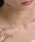 ciite' surgical stainlessiV[eT[WJXeXj́uy AM[Ή z Vv`F[lbNX T[WJXeXilbNXjvbsNS[h