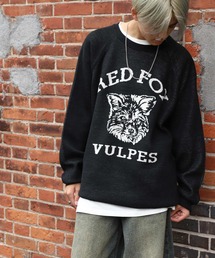 CORISCO（コリスコ）の「【CORISCO】 アニマル ジャガード ラグラン クルー ロングスリーブ ニット / セーター（ニット/セーター）」