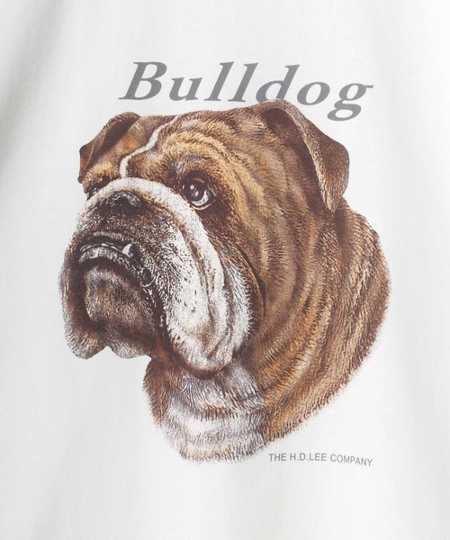 Lee（リー）の「Lee/リー BULLDOG SS TEE/オーバーサイズ ブルドッグ アニマル プリント ロゴ ワンポイント 半袖Tシャツ/レディース メンズ（Tシャツ/カットソー・レディース・ホワイト/ネイビー・M/L/XL）」の11枚目の写真