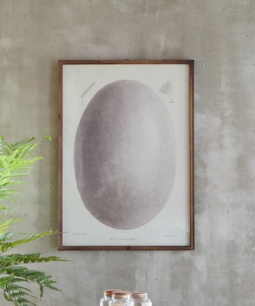ART FRAME EGG/壁掛け アート フレーム エッグ（ポスター/アート 