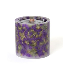 RADIO EVA(aIG@)RADIO EVA C022 EVANGELION Flower Aroma CandleiTakibijby soli(Lh)