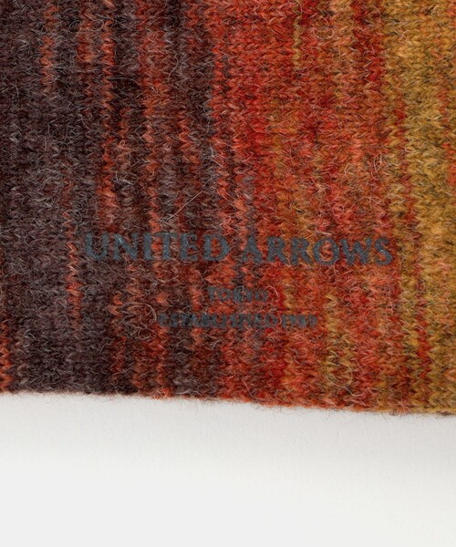 UNITED ARROWS（ユナイテッドアローズ）の「カスリ ソックス（ソックス/靴下・メンズ・その他4/その他2/その他3/その他1・FREE）」の10枚目の写真