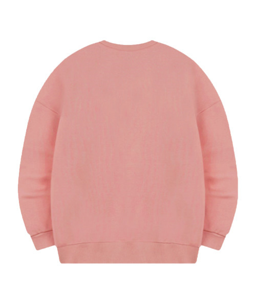 WILDROCK(ワイルドロック)の「WRCK アーチロゴ スウェット_インディピンク(スウェット・メンズ・その他・LARGE/MEDIUM/SMALL)」の3枚目の写真