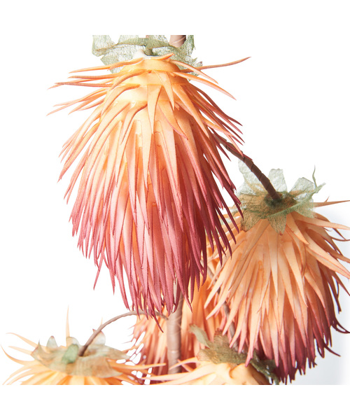 Francfranc（フランフラン）の「アートプランツ ランブータン オレンジ（インテリア雑貨）」 WEAR