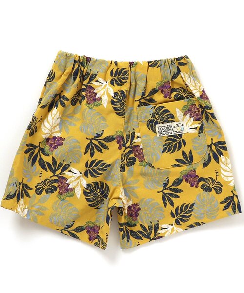 BREEZE（ブリーズ）の「フルーツ総柄パンツ 4分丈（その他パンツ・キッズ・グリーン/イエロー/レインボー/カーキ/ブラウン/ベージュ/ピンク/キナリ/ブルー/ミント・100/110/140/90/130/80/120）」の21枚目の写真