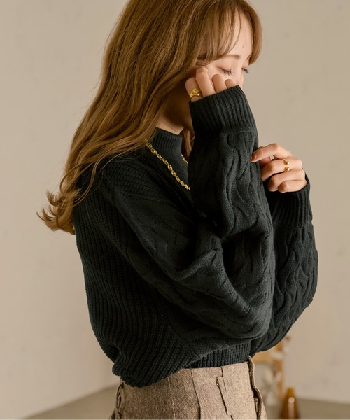 Ambre Neige(アンブルネージュ)の「アミスリーブニット/【WEB/EC限定商品】(ニット/セーター・レディース・ブラック/ダークブラウン/アイボリー/ライトベージュ・FREE)」の3枚目の写真