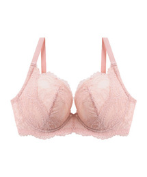 FLORINA BEAUTE（ブルーミング フローラ）の「【antiage(アンテアージュ)】 次世代補整 ブラジャー 大きいサイズ グラマー / GHI 65-85（ブラジャー）」