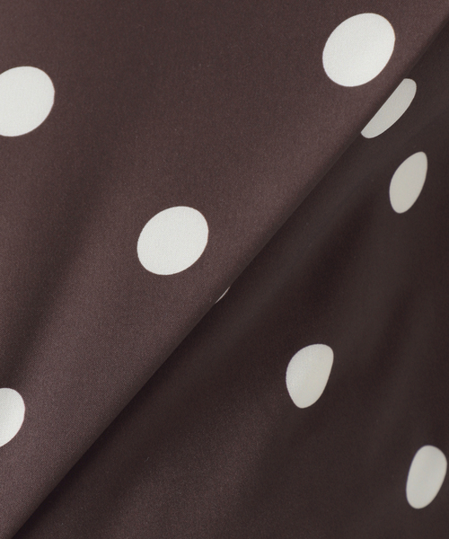 Spick & Span(スピックアンドスパン)の「《一部店舗+WEB限定 / 追加》ドットフレンチスリーブシャツ(シャツ/ブラウス・レディース・その他2/その他4/マルチ・FREE)」の4枚目の写真