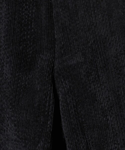 WILD THINGS(ワイルドシングス)の「<WILD THINGS>サマー コーデュロイ ショーツ(その他パンツ・メンズ・ネイビー/ダークブラウン・M/L/S)」の9枚目の写真