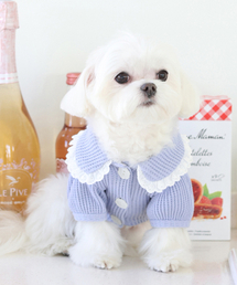 MY LITTLE DOG（マイ リトル ドッグ）の「ピクニックカラー ワッフルカーディガン - ブルー（ペットウェア）」