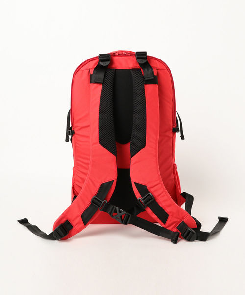 BEAMS LIGHTS（ビームスライツ）の「F/CE. / Robic Air TRAVEL BAG