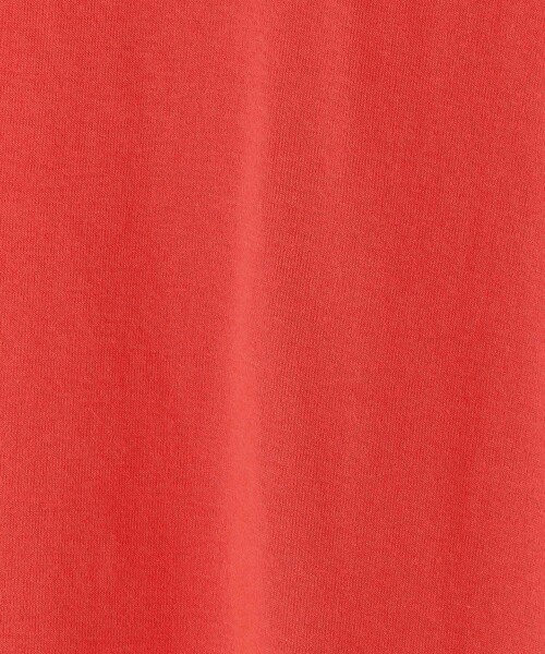 FREAK'S STORE（フリークスストア）の「フライスカットタートル（Tシャツ/カットソー・レディース・ホワイト/ブラック/レッド/マスタード・ﾌﾘ-）」の19枚目の写真