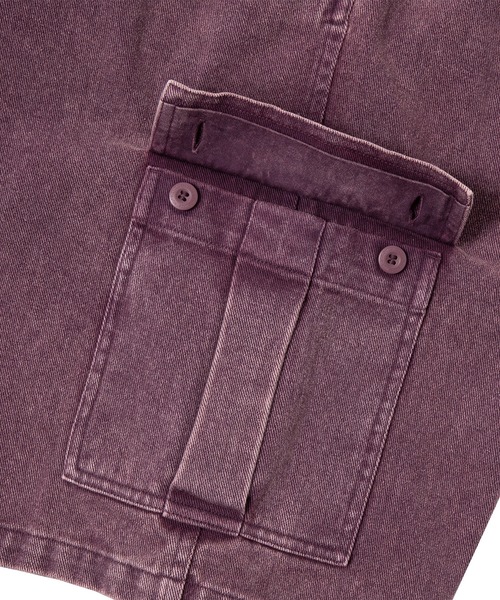 PEGASUS CARGO SHORT / HUF ハフ カーゴ ショートパンツ（その他
