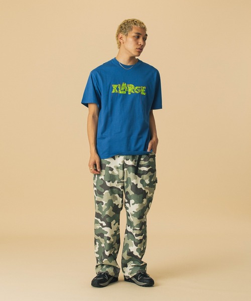 メルカリ便　【ソマリエンシス錦　カモフラ　バリエガータ】 メルカリ便 【ソマリエンシス錦 カモフラ バリエガータ】