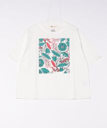 BARNDOOR｜バーンドアのTシャツ/カットソー（半袖）人気