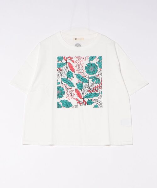 BARNDOOR(バーンドア)の「(BD)【BARNDOOR】ボタニカル プリント Tシャツ(Tシャツ/カットソー・レディース・ブラック系2/ホワイト系2/ネイビー系1/ホワイト系1・FREE)」の1枚目の写真
