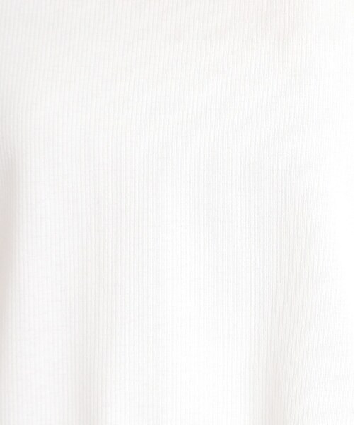 THE SHOP TK (ザ ショップ ティーケー )の「5分袖シアーTシャツ【二の腕カバー/洗濯機OK】(Tシャツ/カットソー・レディース・オフホワイト/ブラック/ライトグレー/ボルドー・12/13)」の8枚目の写真