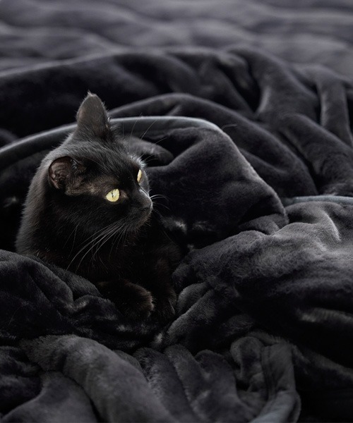 まるで猫！のようなモフモフこたつ掛け布団｜250×205cm【猫Feel