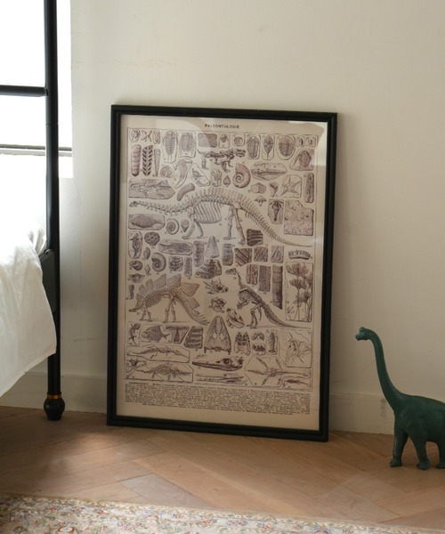DULTON(_g)ART FRAME PALEONTOLOGIE/Ǌ| A[g t[ pIgW[(|X^[/A[g)
