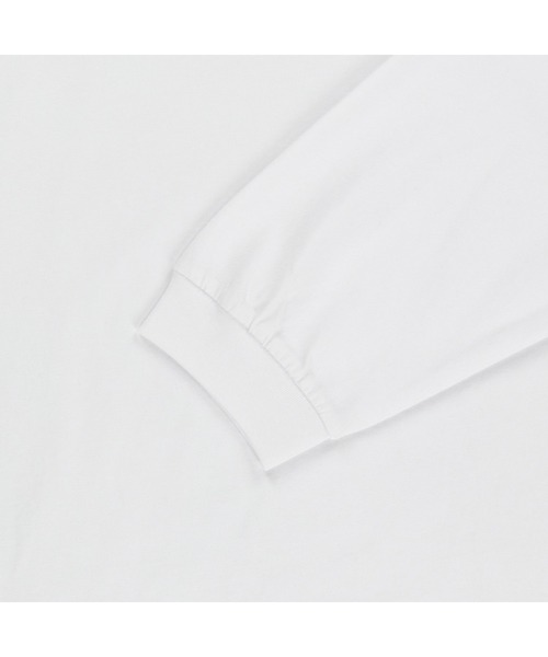 国内未発売 THE NORTH FACE(ザ ノース フェイス) / ロンT / Tシャツ