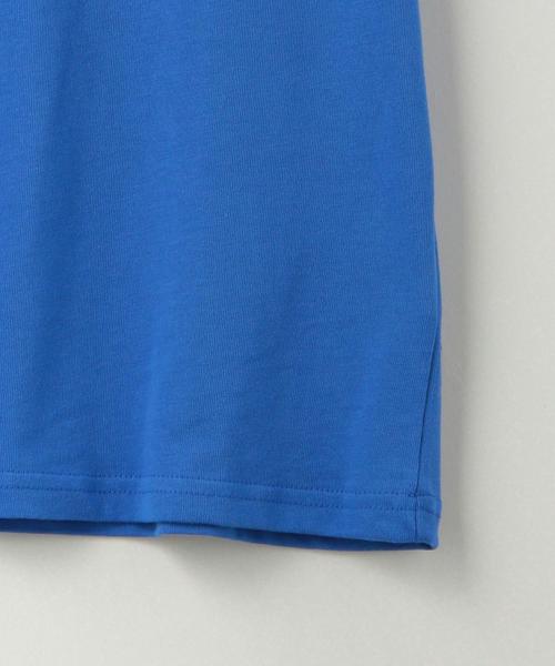 NIKE ACG（ナイキエィシージー）の「NIKE ACG（ナイキ エーシージー）LOGO S/S TEE☆（Tシャツ/カットソー・メンズ・パープル/ロイヤルブルー・LARGE/MEDIUM/X-LARGE）」の5枚目の写真