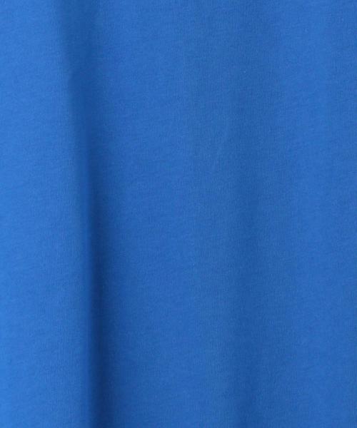 NIKE ACG（ナイキエィシージー）の「NIKE ACG（ナイキ エーシージー）LOGO S/S TEE☆（Tシャツ/カットソー・メンズ・パープル/ロイヤルブルー・LARGE/MEDIUM/X-LARGE）」の7枚目の写真