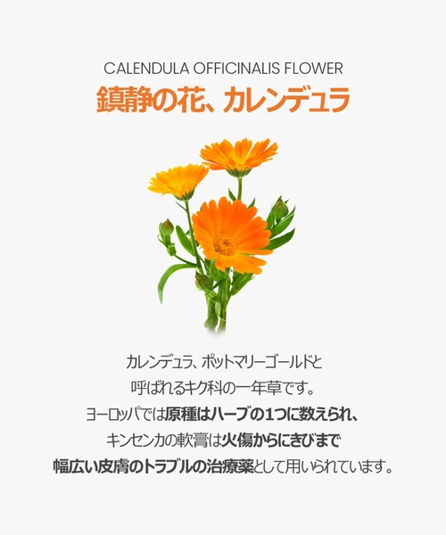 ONE THING（ワンシング）の「【ONE THING/ワンシング】CALENDULA OFFICINALIS FLOWER EXTRACT 150ml(カレンデュラ化粧水)（化粧水・レディース・ホワイト・FREE）」の18枚目の写真