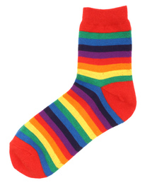 WEGO | WEGO/レインボーソックス(ソックス/靴下)
